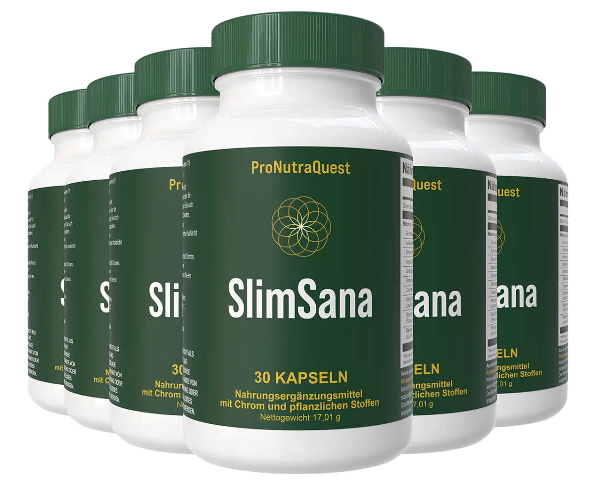 6 Flaschen SlimSana